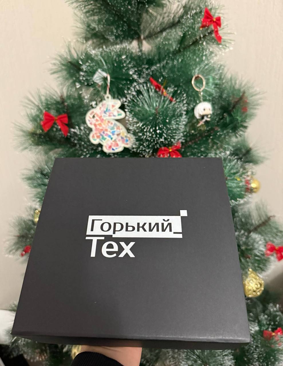 Обложка: Мы правда очень ценим наши отношения с АНО «Горький Тех».
